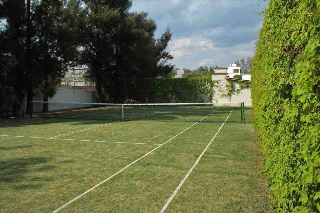 Elegante Habitacion Ideal Para Tu Estancia. San Miguel de Allende Eksteriør billede